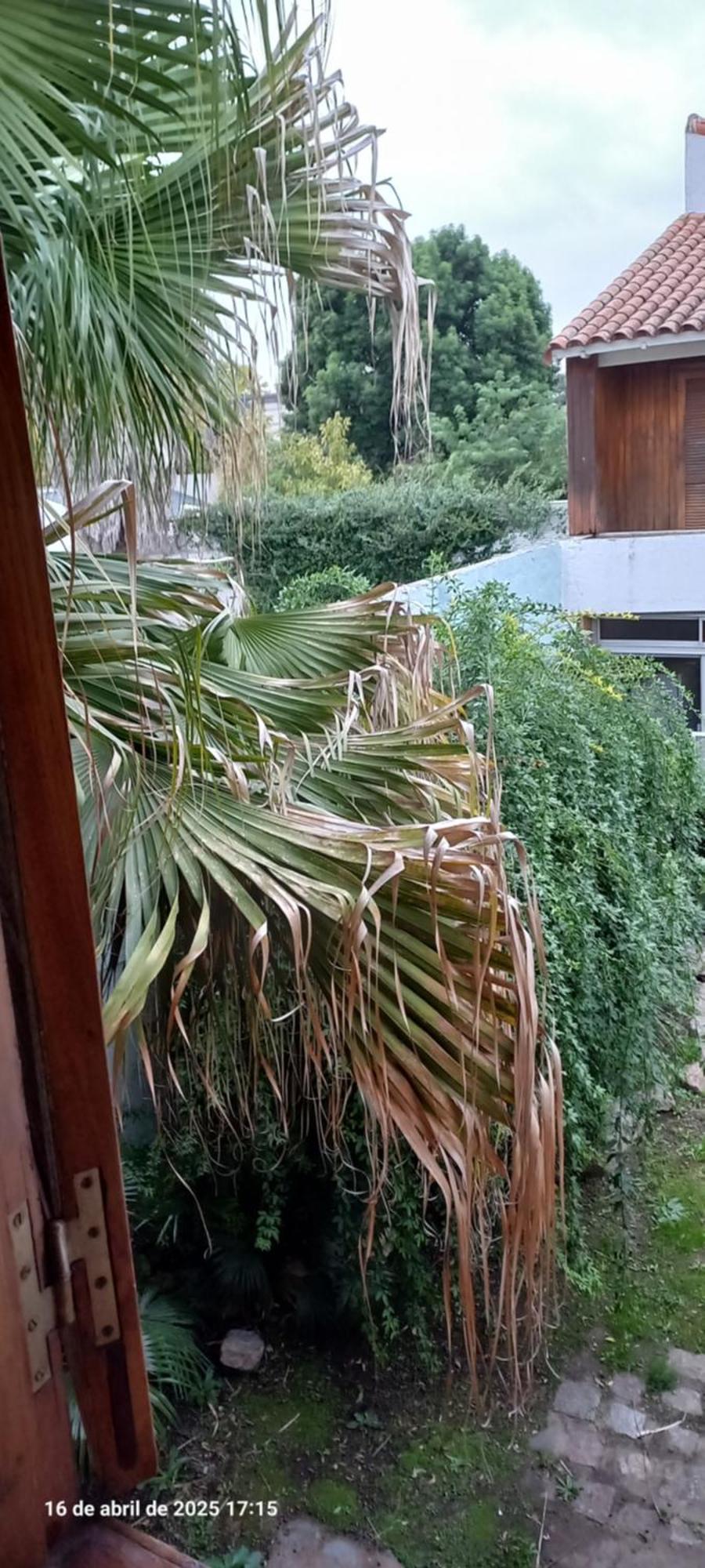 Ezeiza Bed And Breakfast Экстерьер фото